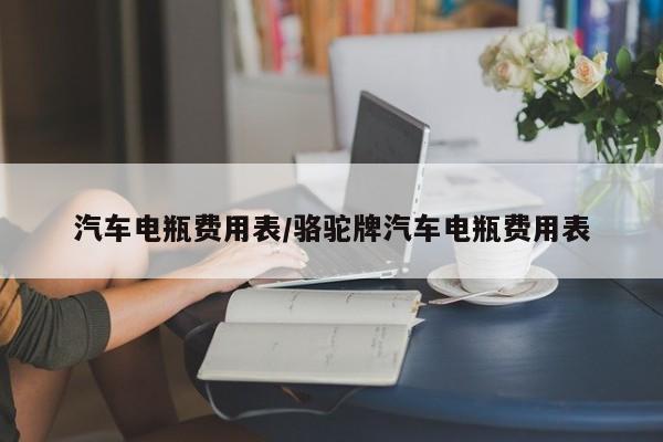 汽车电瓶费用表/骆驼牌汽车电瓶费用表