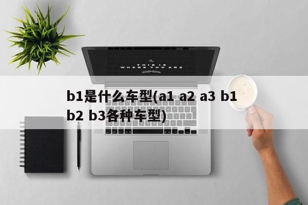 b1是什么车型(a1 a2 a3 b1 b2 b3各种车型)
