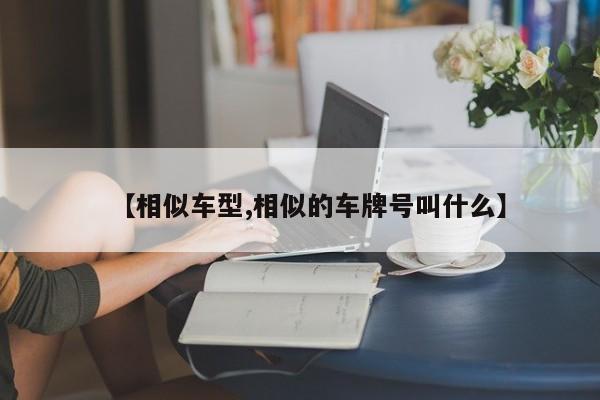 【相似车型,相似的车牌号叫什么】