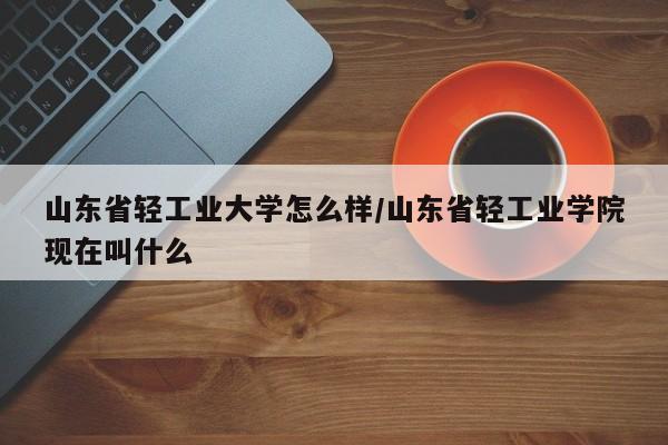 山东省轻工业大学怎么样/山东省轻工业学院现在叫什么