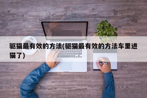 驱猫最有效的方法(驱猫最有效的方法车里进猫了)