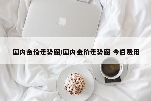 国内金价走势图/国内金价走势图 今日费用