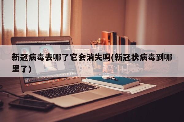 新冠病毒去哪了它会消失吗(新冠状病毒到哪里了)