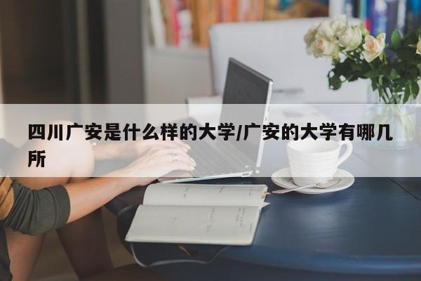 四川广安是什么样的大学/广安的大学有哪几所