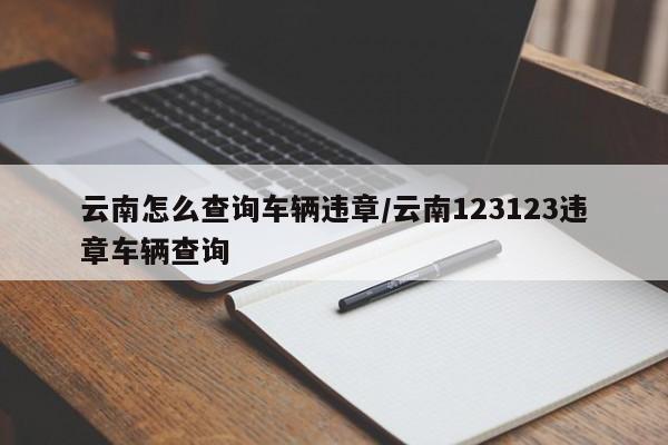 云南怎么查询车辆违章/云南123123违章车辆查询