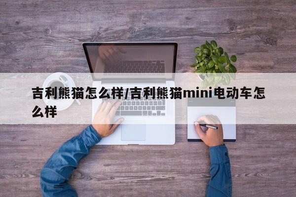 吉利熊猫怎么样/吉利熊猫mini电动车怎么样