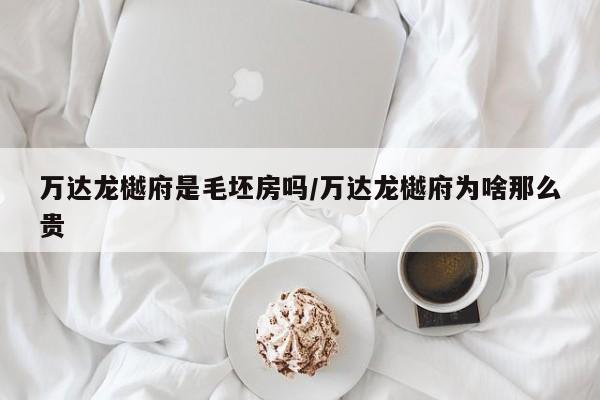万达龙樾府是毛坯房吗/万达龙樾府为啥那么贵