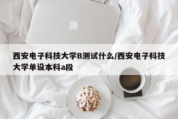 西安电子科技大学B测试什么/西安电子科技大学单设本科a段