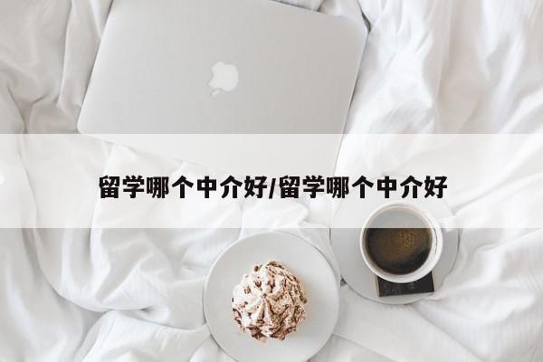留学哪个中介好/留学哪个中介好