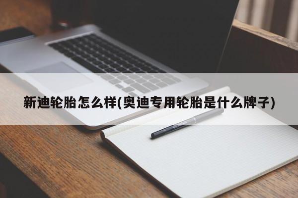 新迪轮胎怎么样(奥迪专用轮胎是什么牌子)
