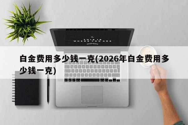 白金费用多少钱一克(2026年白金费用多少钱一克)