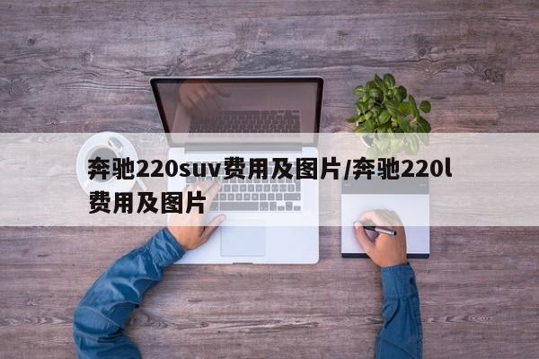奔驰220suv费用及图片/奔驰220l费用及图片