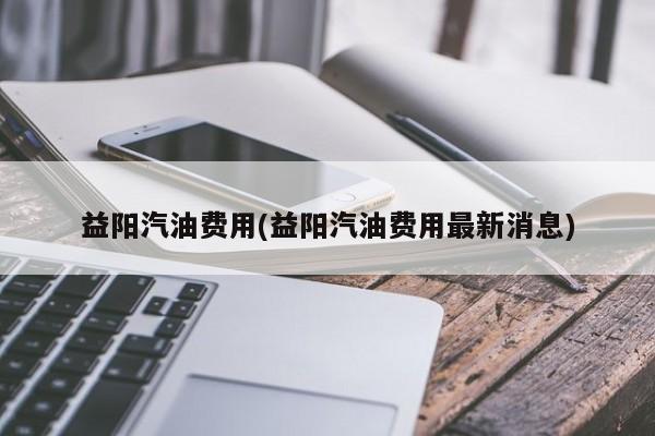 益阳汽油费用(益阳汽油费用最新消息)