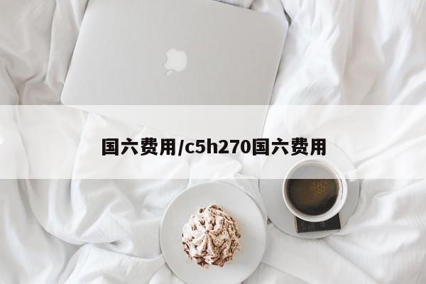 国六费用/c5h270国六费用