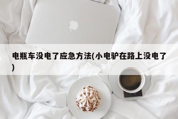 电瓶车没电了应急方法(小电驴在路上没电了)
