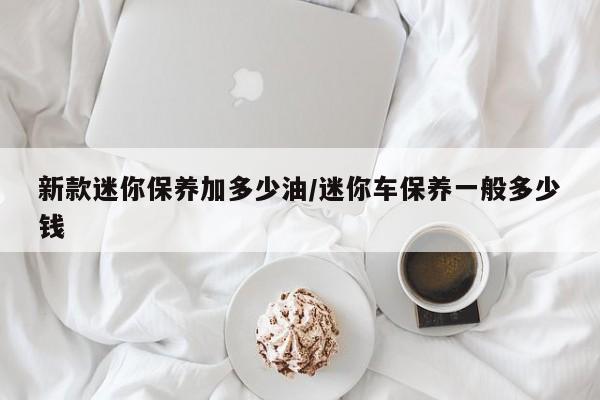 新款迷你保养加多少油/迷你车保养一般多少钱