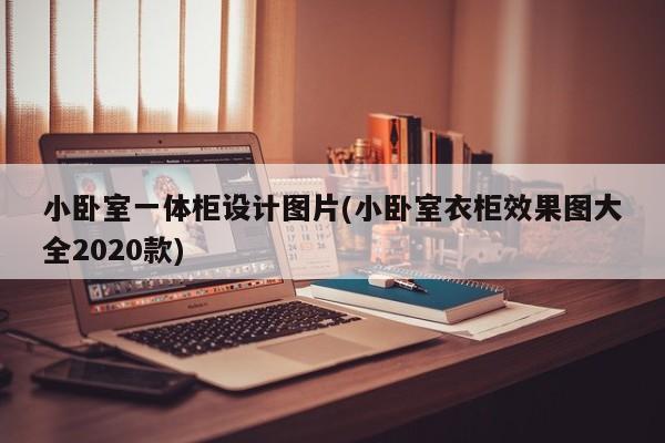 小卧室一体柜设计图片(小卧室衣柜效果图大全2020款)
