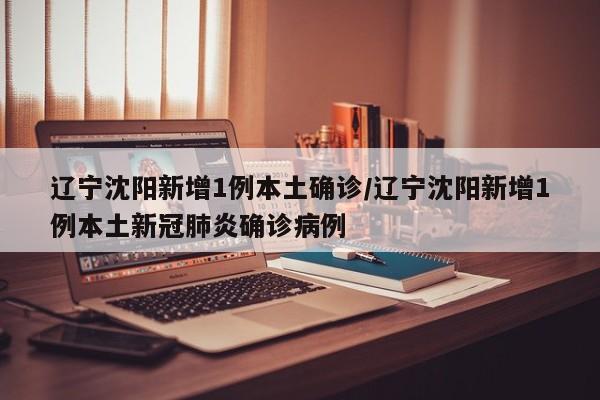 辽宁沈阳新增1例本土确诊/辽宁沈阳新增1例本土新冠肺炎确诊病例