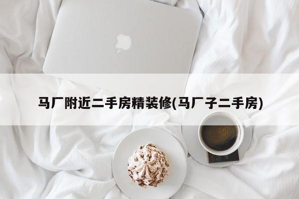 马厂附近二手房精装修(马厂子二手房)