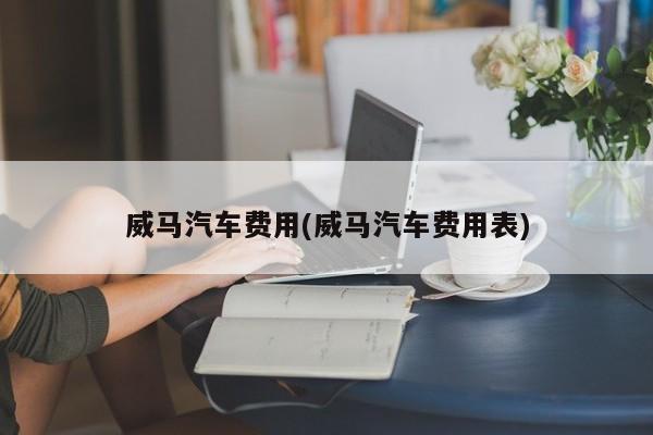 威马汽车费用(威马汽车费用表)