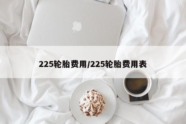 225轮胎费用/225轮胎费用表