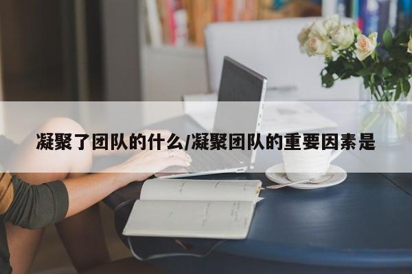 凝聚了团队的什么/凝聚团队的重要因素是