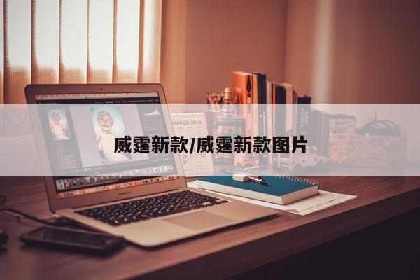 威霆新款/威霆新款图片