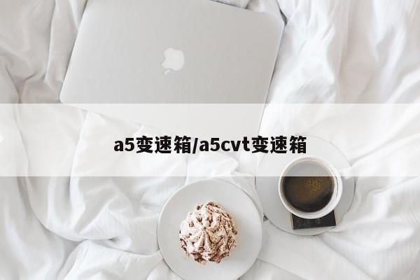 a5变速箱/a5cvt变速箱