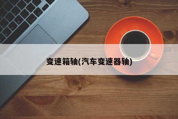 变速箱轴(汽车变速器轴)